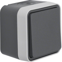 Переключатель IP55, серый, 10АX/250В W.1