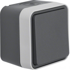 Переключатель IP55, серый, 10АX/250В W.1