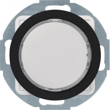 29532045