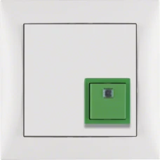 52019909