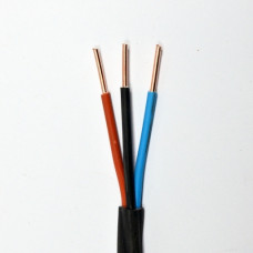 Cable ВВГ нгд 3х4,0 mm.2 