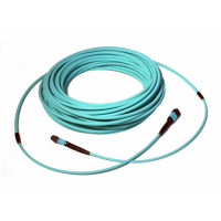 EDGE™ Solutions Trunk Cable, OM4, LowLoss, MTP® to MTP, 12 fibres