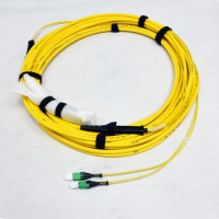 EDGE™ Solutions Trunk Cable, OS2, LowLoss, MTP® to MTP, 24 fibres