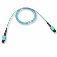 EDGE8® MTP® Patch Cable  8F, 50 µm multimode (OM4), MTP (non-pinned) to MTP (non-pinned), LSZH™, TIA-568 Type-B polarity, no pullilng grip