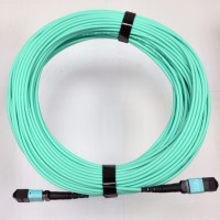 Patch cord 8 fiber MPO(F)-MPO(F) MM (G50-OM3) 30m