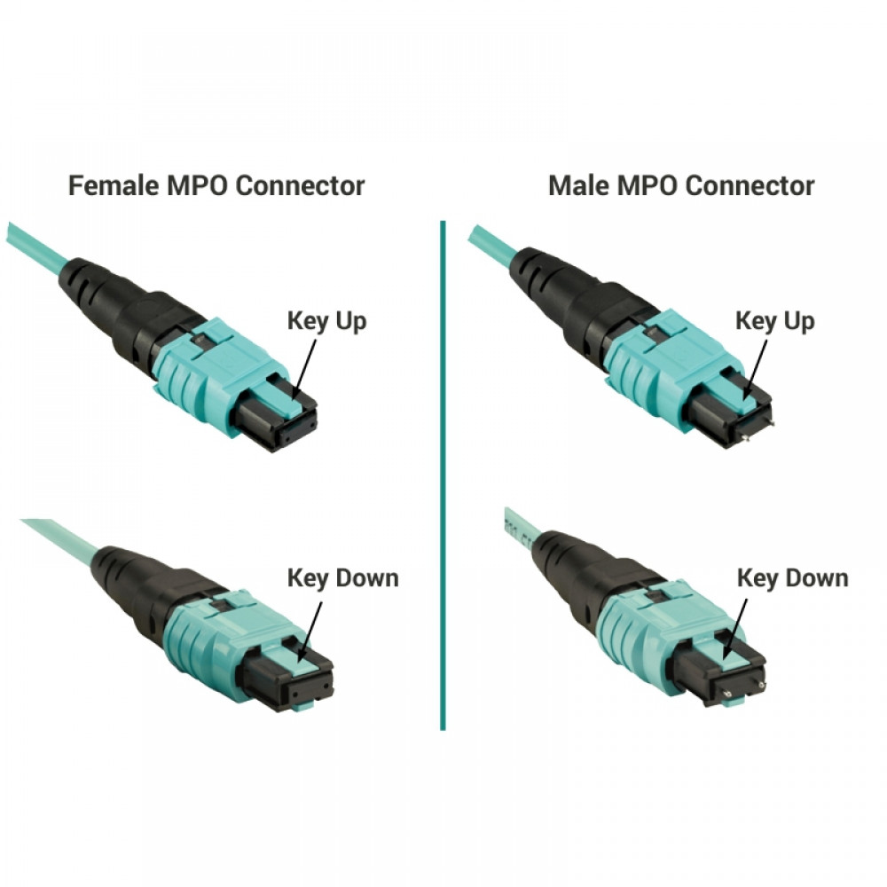 Fiber optic patch cords MPO / MTP, Product Code UPCH-1MPOMLCD(MM)8(ON) - product image 2